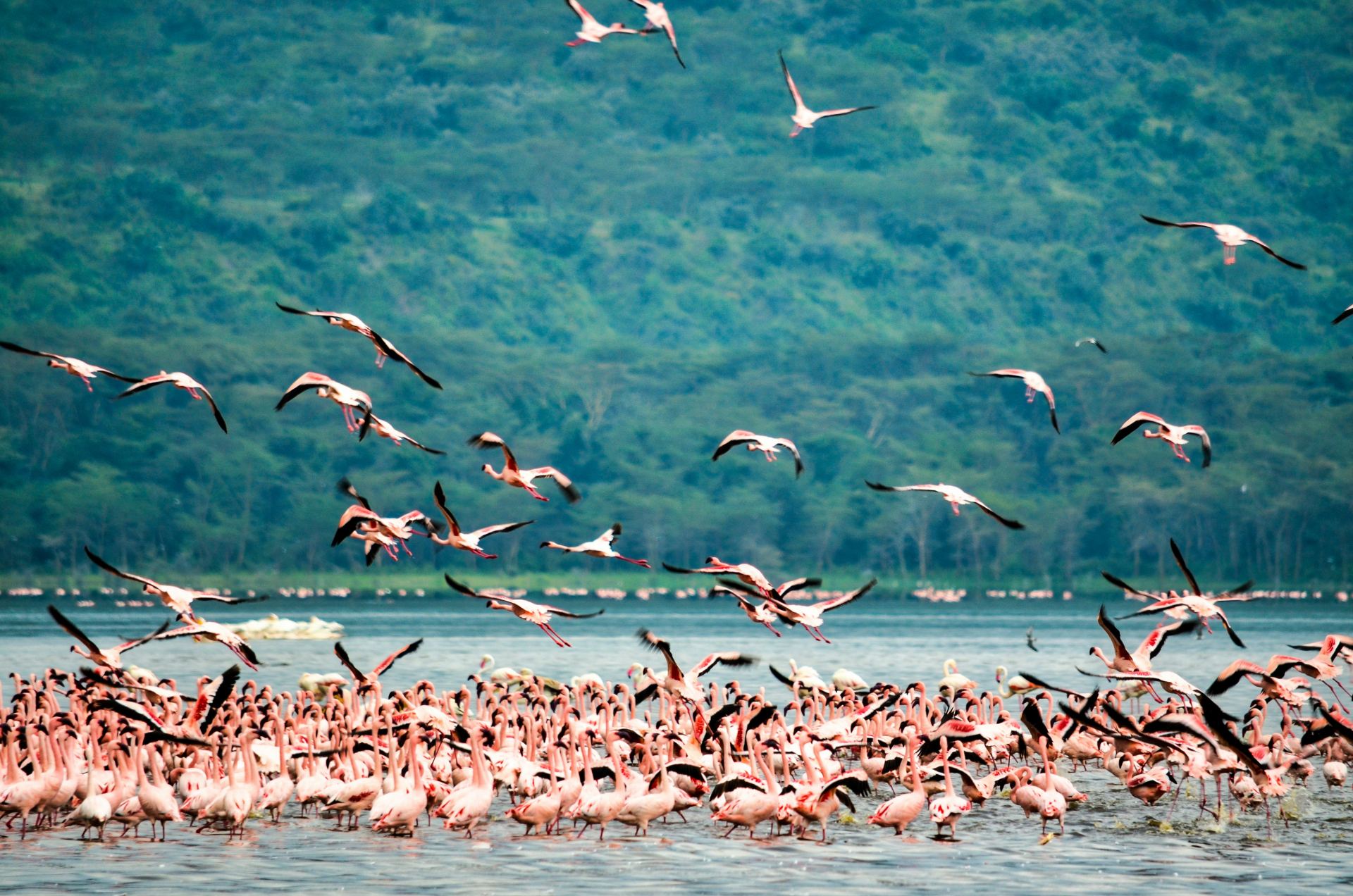 Tanzania&rsquo;s Tour Operator, Built in Arusha