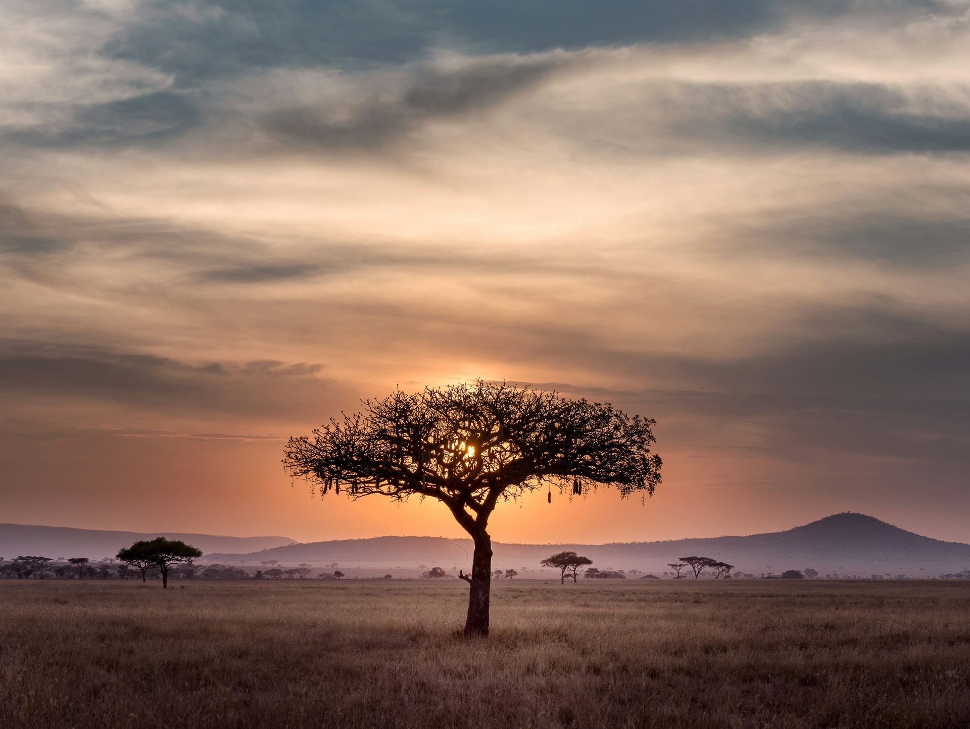 Contact Kibulu Tanzania Safaris