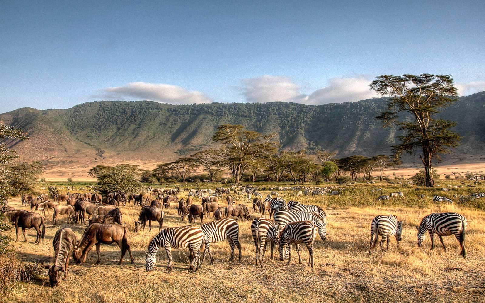 Bwindi Forest, Uganda