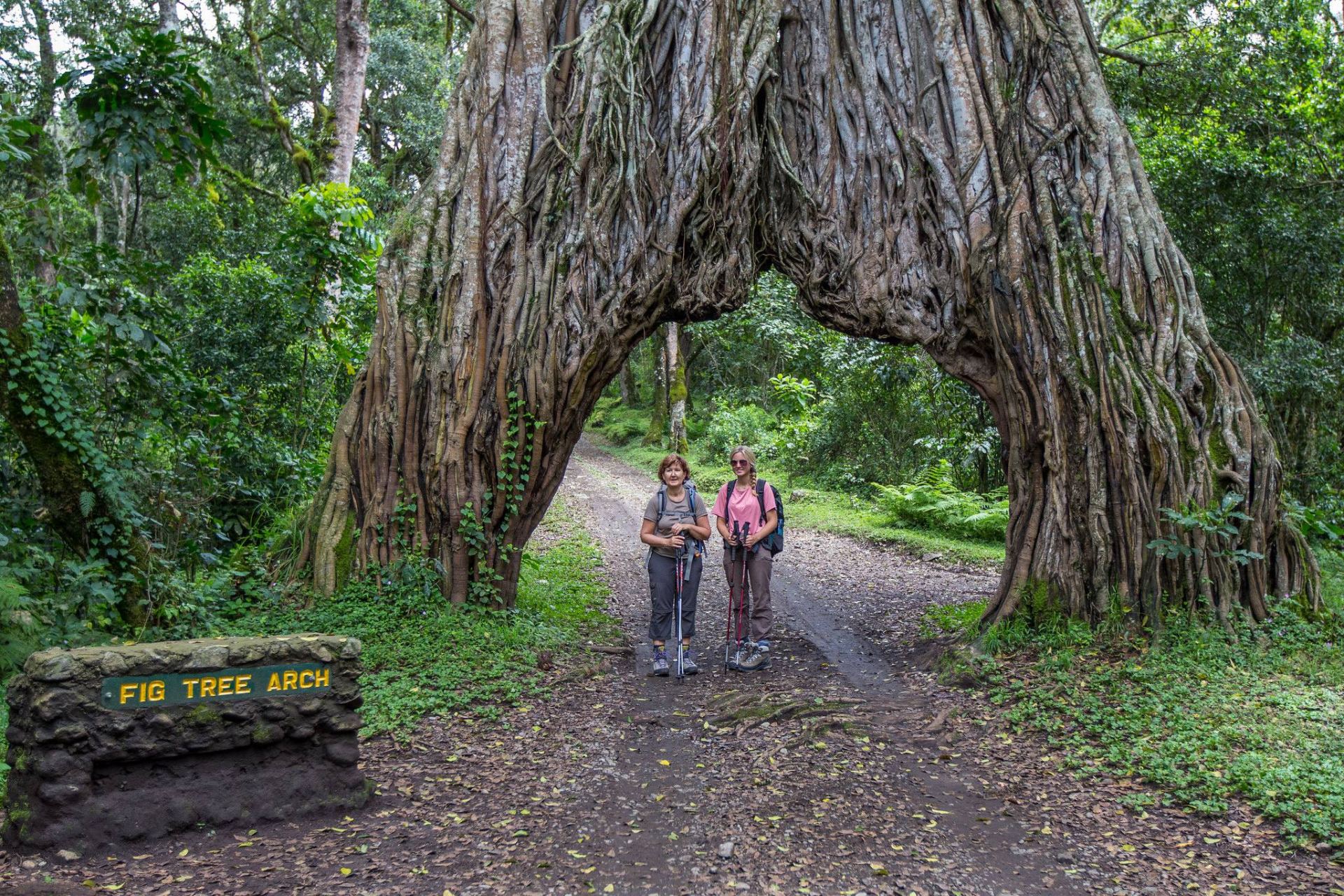1-Day Trip Safari to Arusha National Park