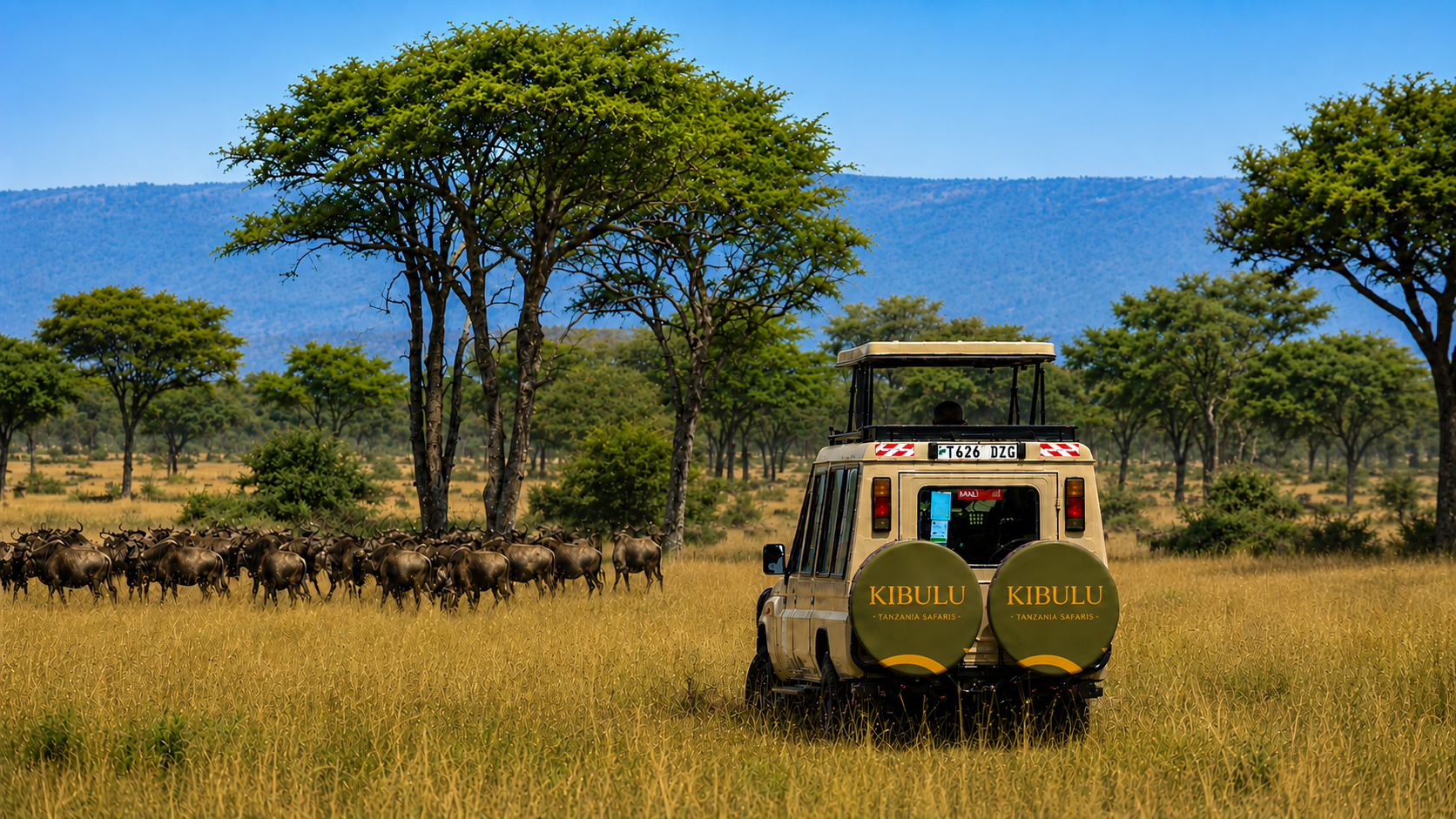 Elephants and baobab trees in Tarangire National Park — Northern Tanzania safari