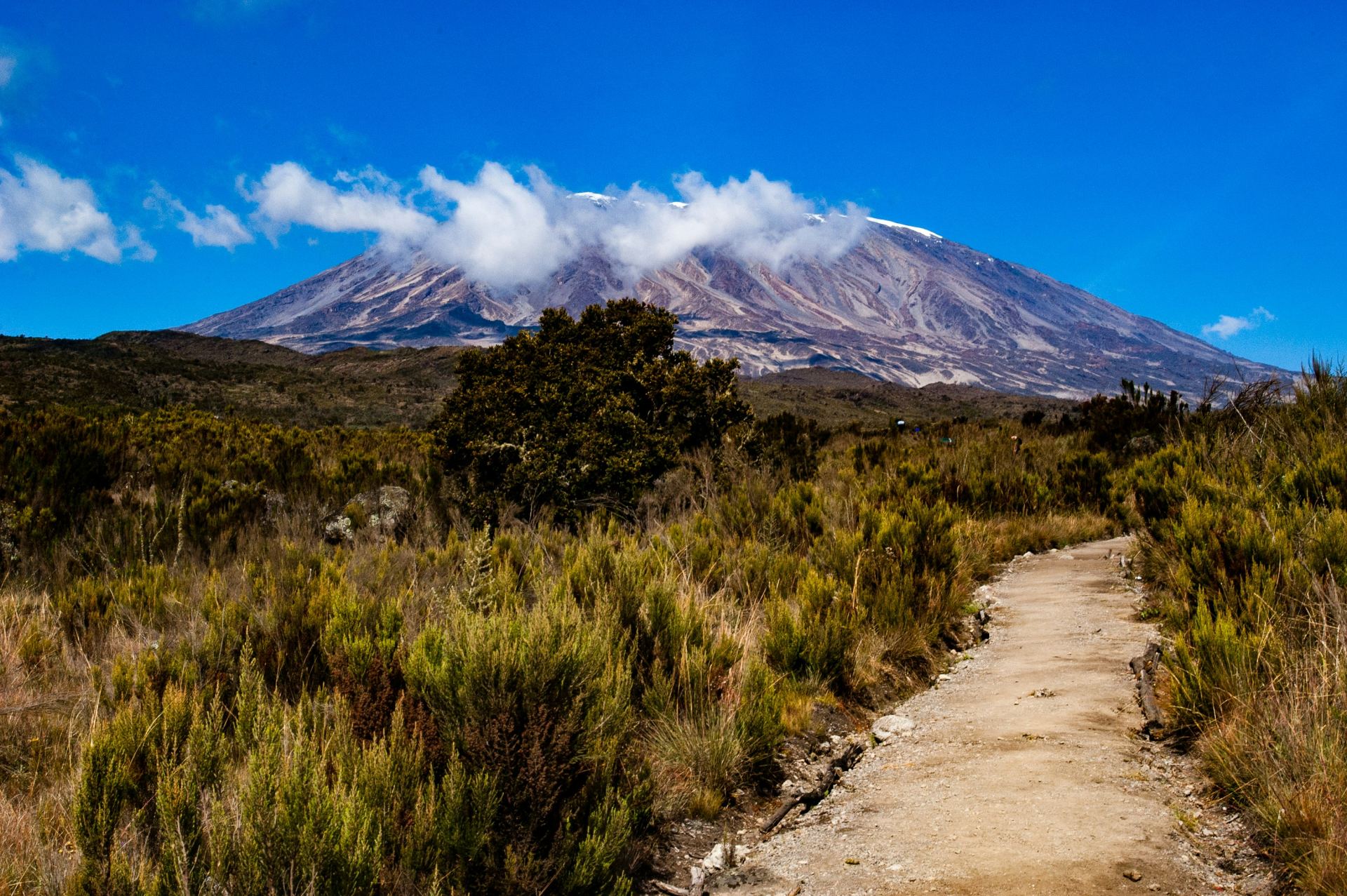 7 Days Kilimanjaro Machame Route