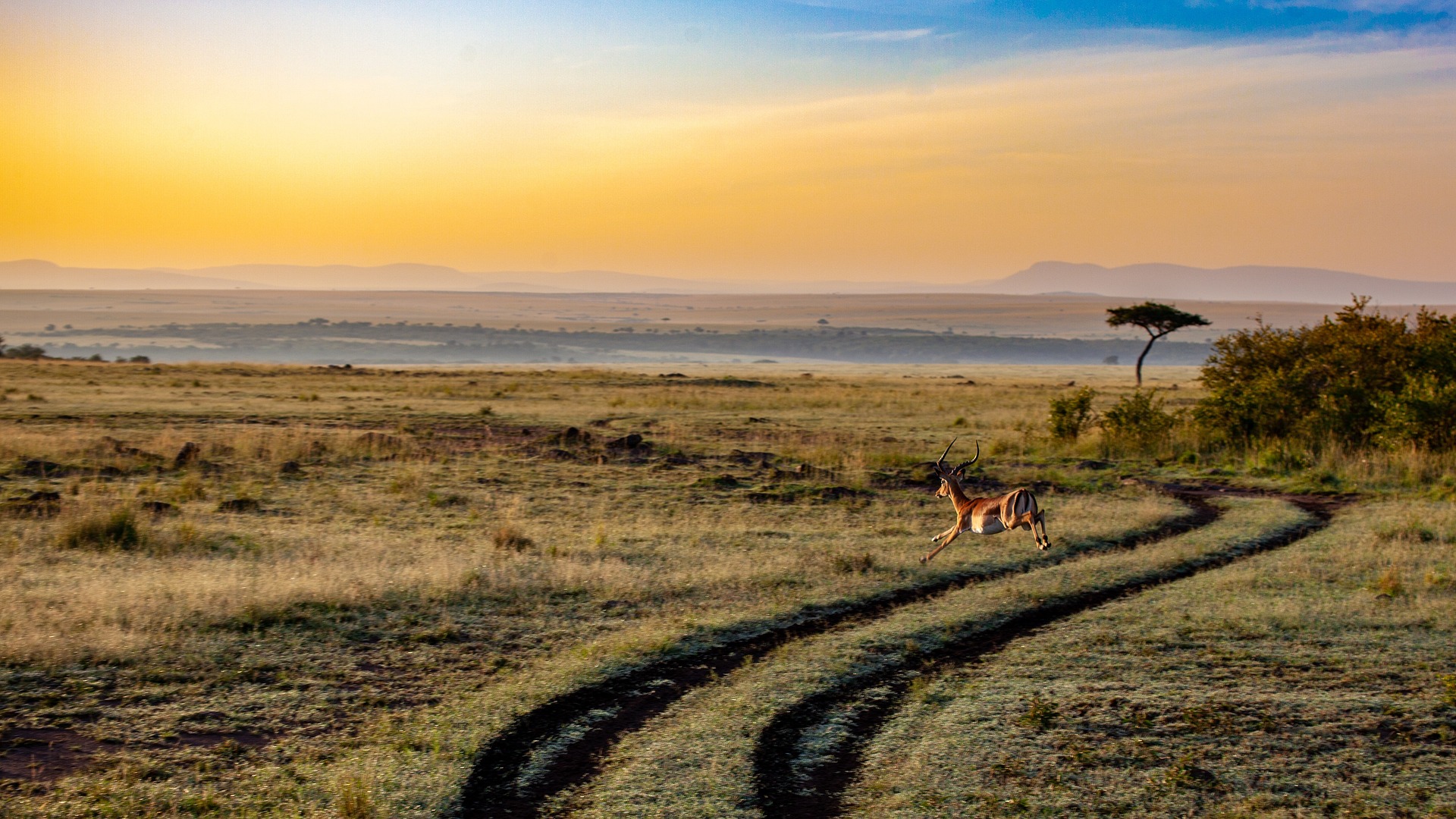 4-Day Mid-Range Safari (Iconic Destinations)
