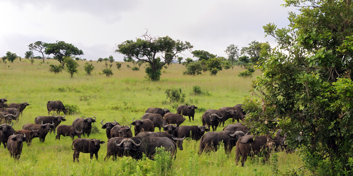 3-Day Southern Circuit Explorer Safari