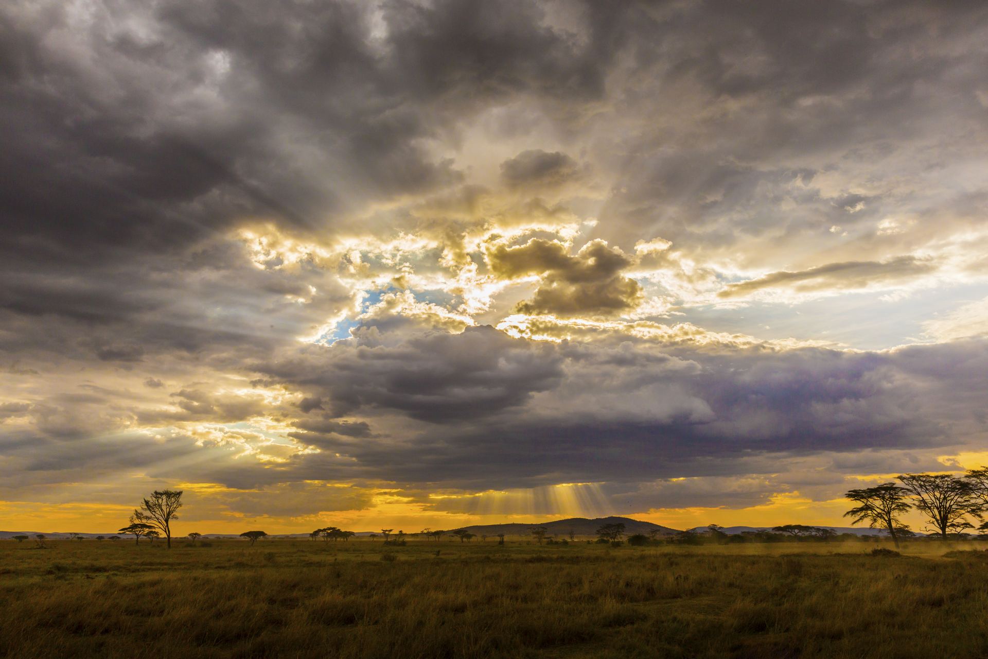 3-Day Tarangire NP & Manyara & Ngorongoro Crater Safari